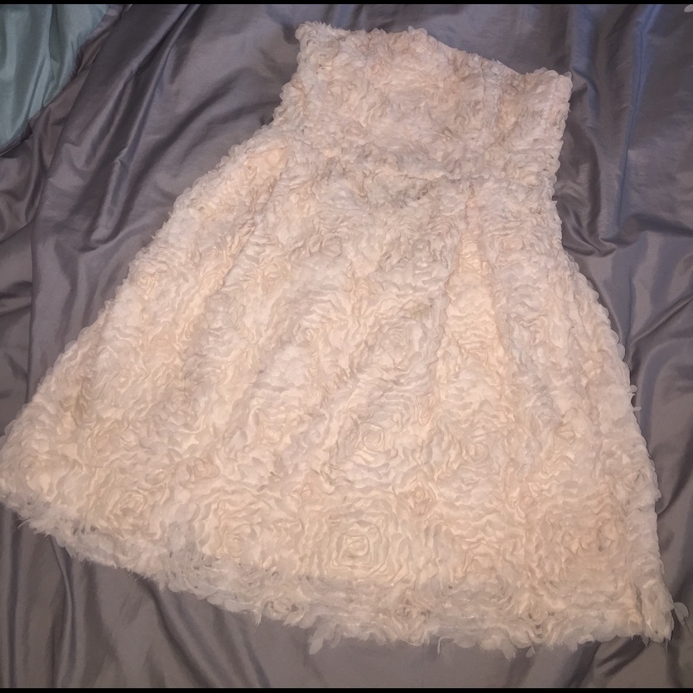 Zara chiffon rose dress
