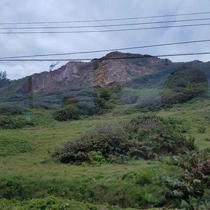 Meet your Posher, Faye