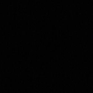 Meet your Posher, Daryl