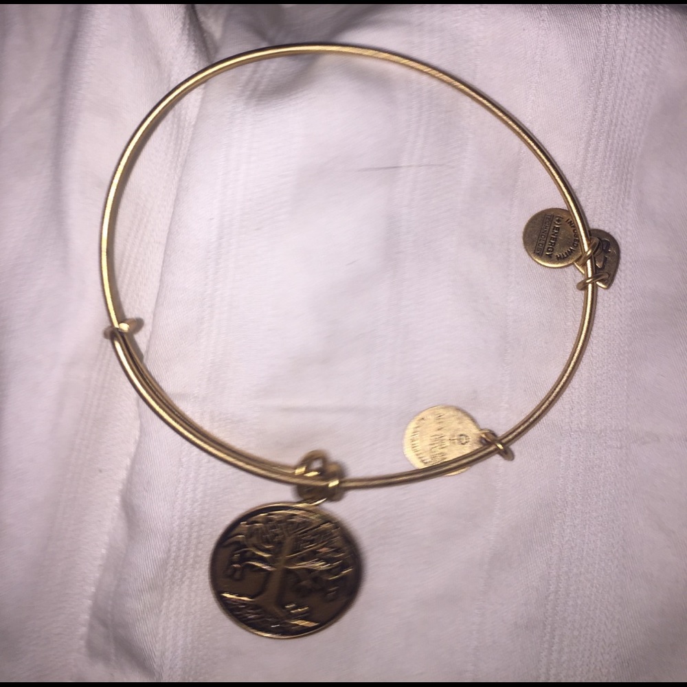 Alex and Ani bracelet