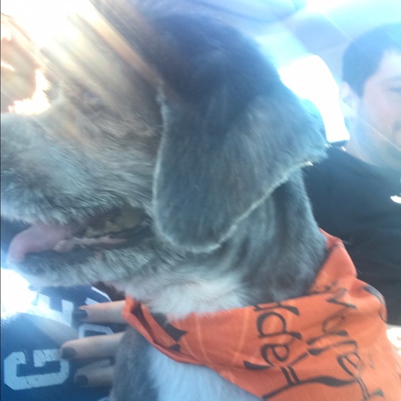 Meet your Posher, Nicole - Picture 1 of 1