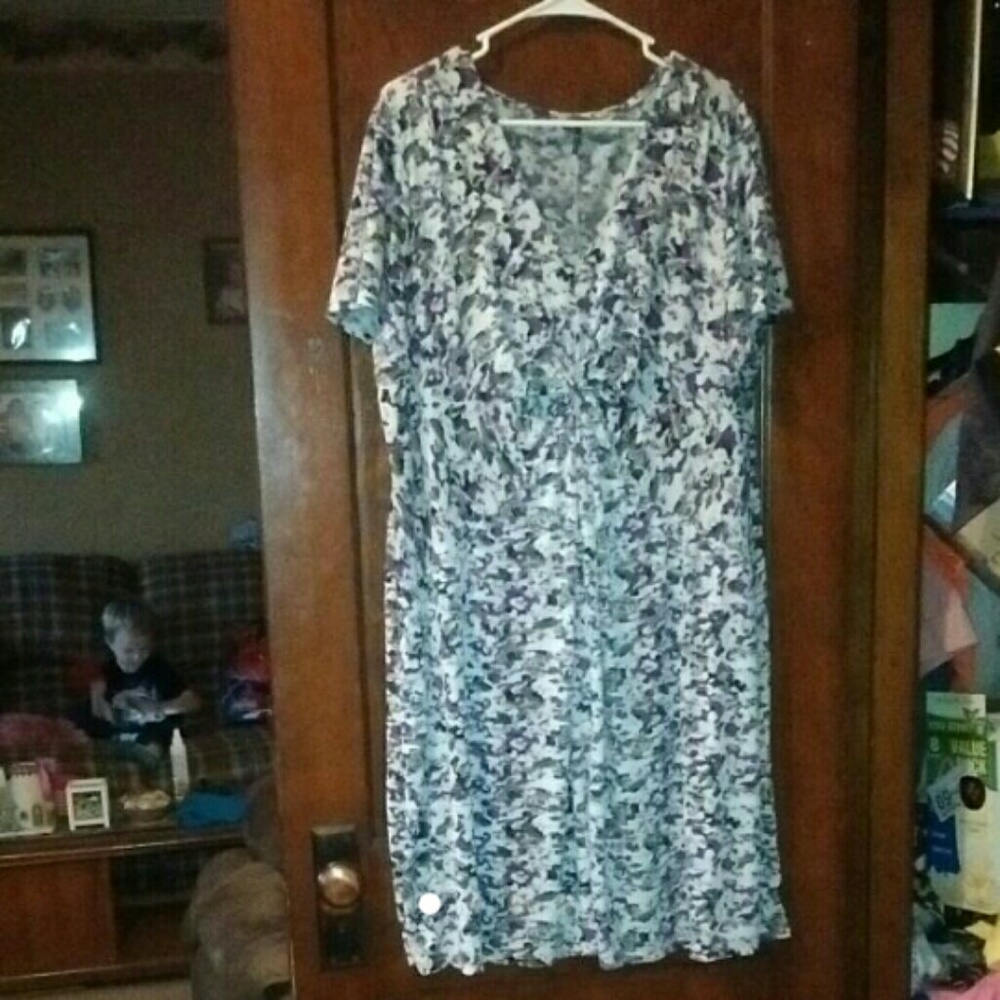 Plus size Daisy Fuentes dress