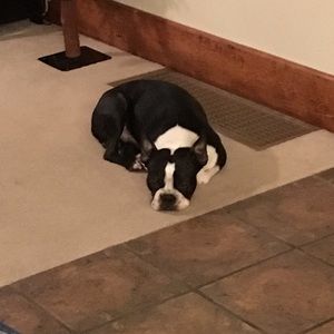 Meet your Posher, Kylene