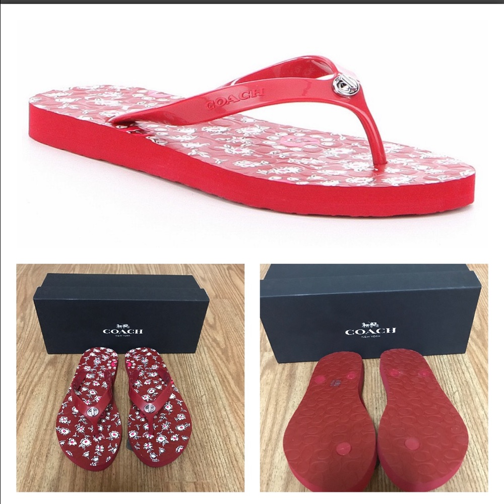 Coach women abbigail sandals