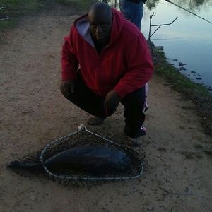 Meet your Posher, Terry