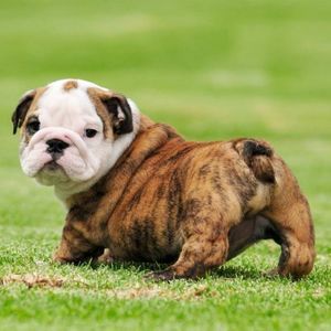 Meet your Posher, Jonathon