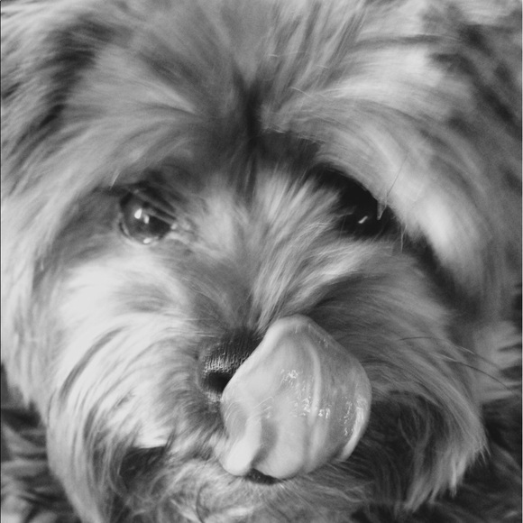 Meet your Posher, Tatiana - Picture 2 of 4