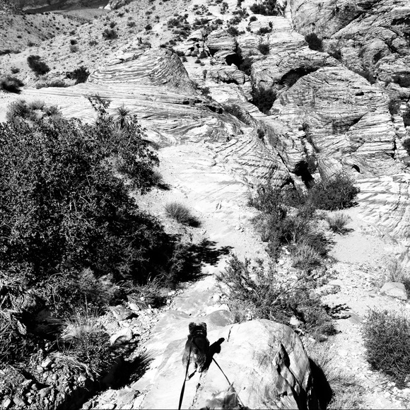 Meet your Posher, Tatiana - Picture 3 of 4