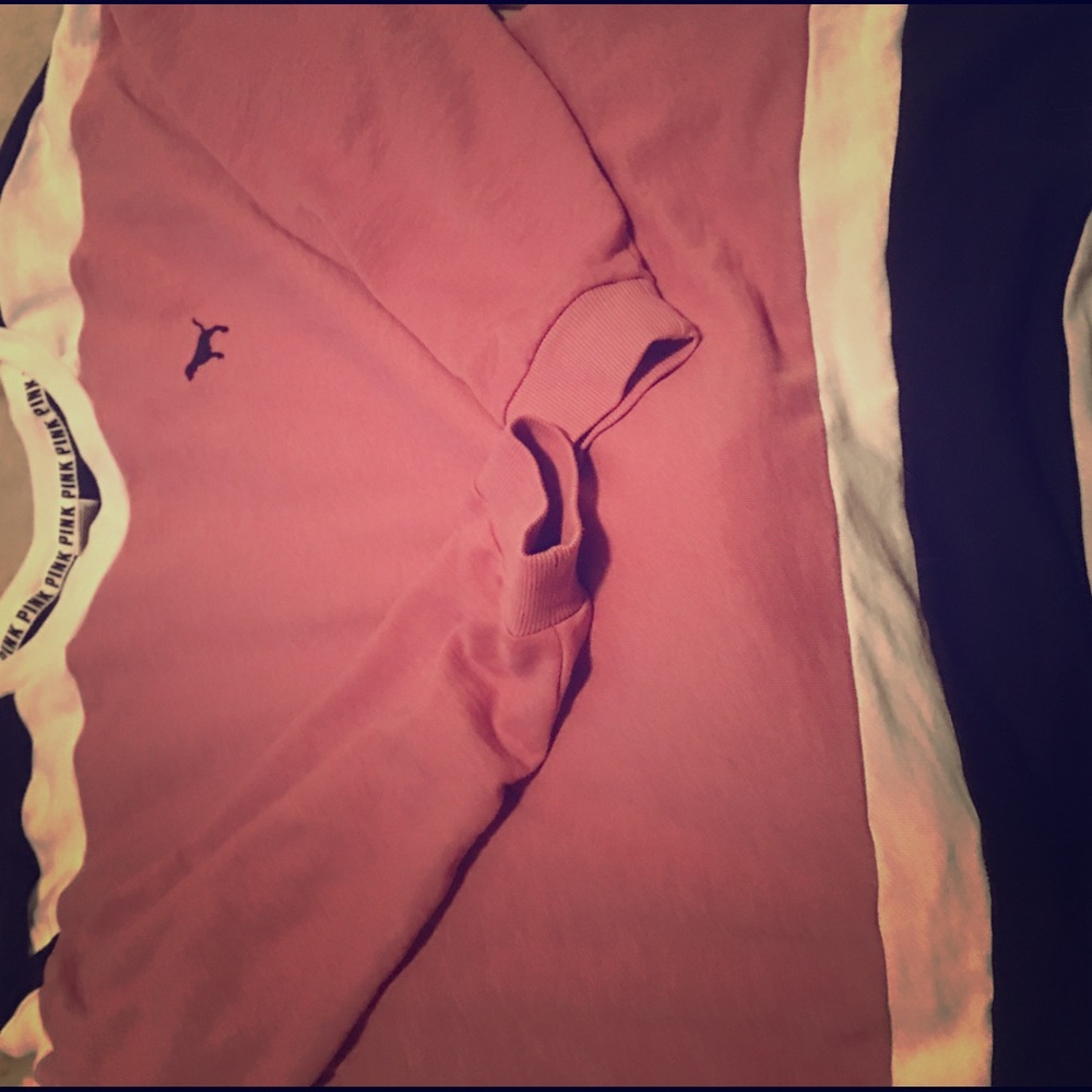 Victoria's Secret Pink Begonia