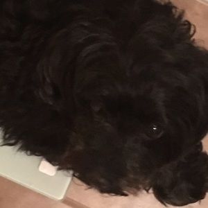 Meet your Posher, Kylee