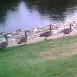 Meet your Posher, Lucia