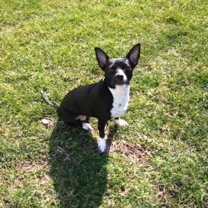 Meet your Posher, Brittany