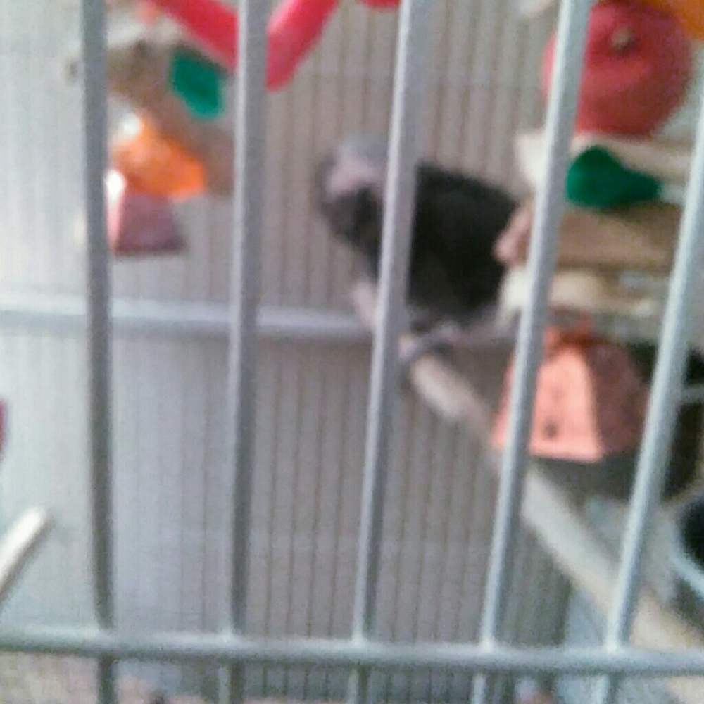 Meet your Posher, Carolyn