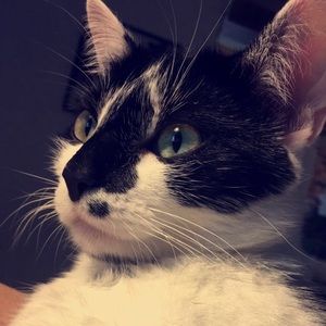 Meet your Posher, Kaylynn