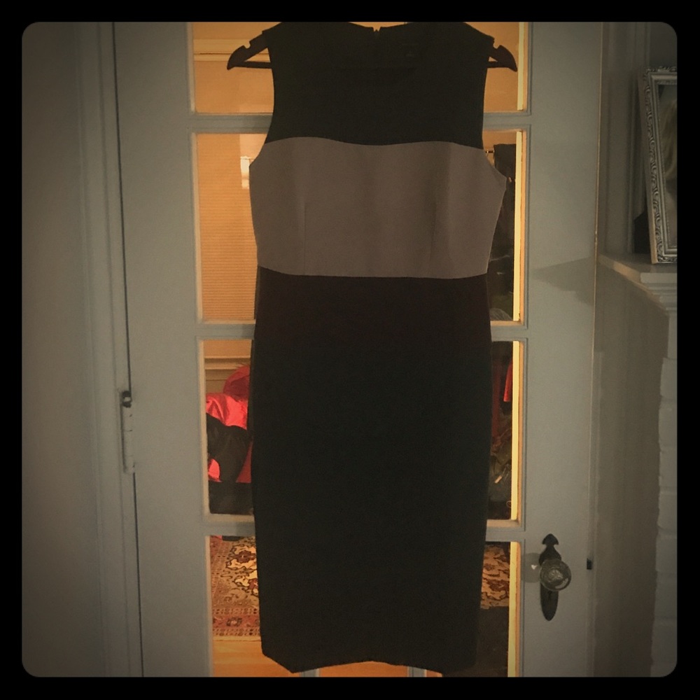 Gorgeous Ann Taylor Sheath dress