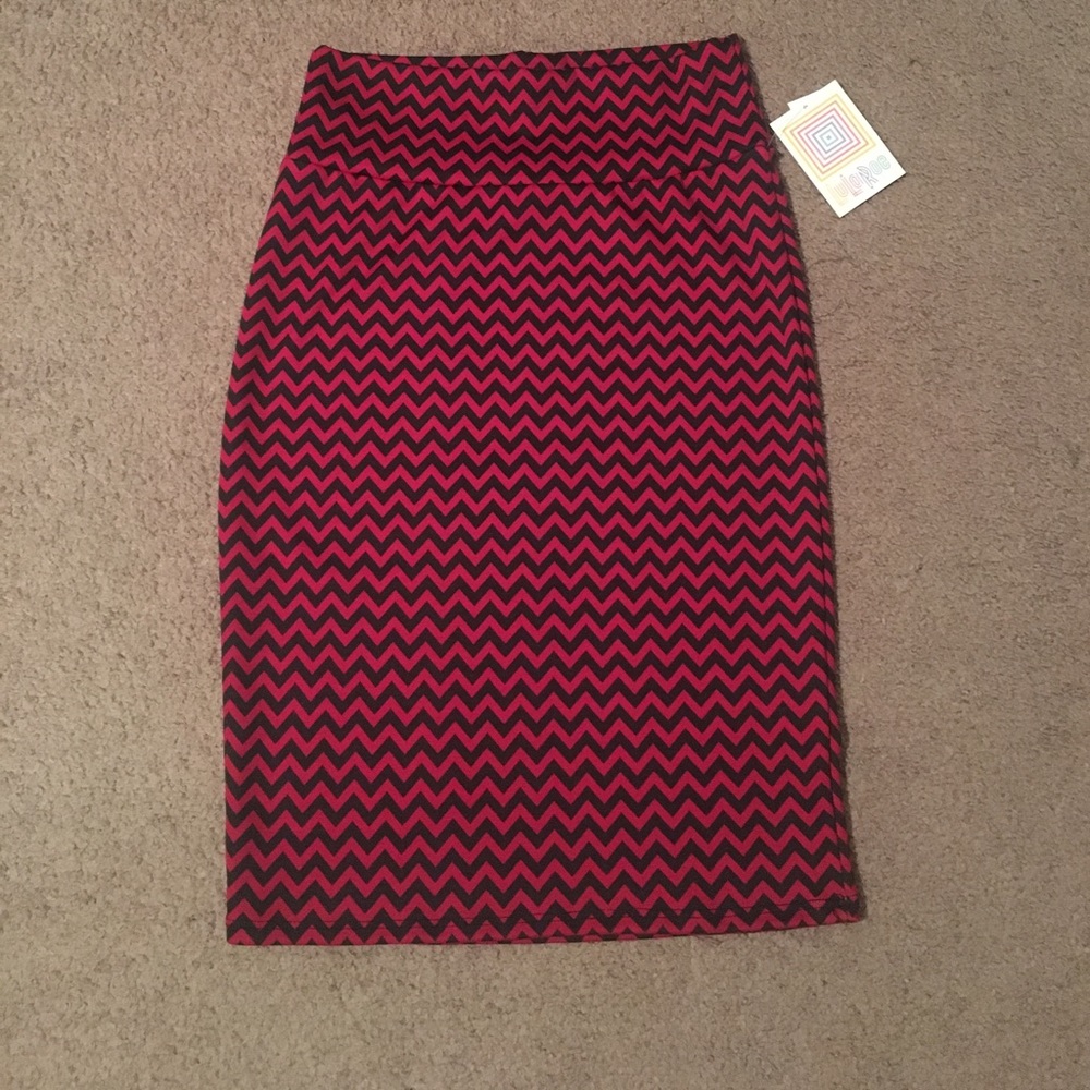 NWT Lula Roe Cassie Skirt!