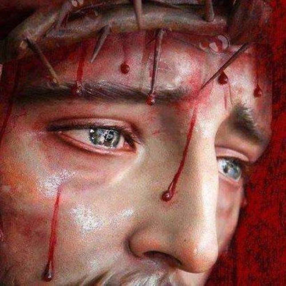 Meet your Posher, Janice