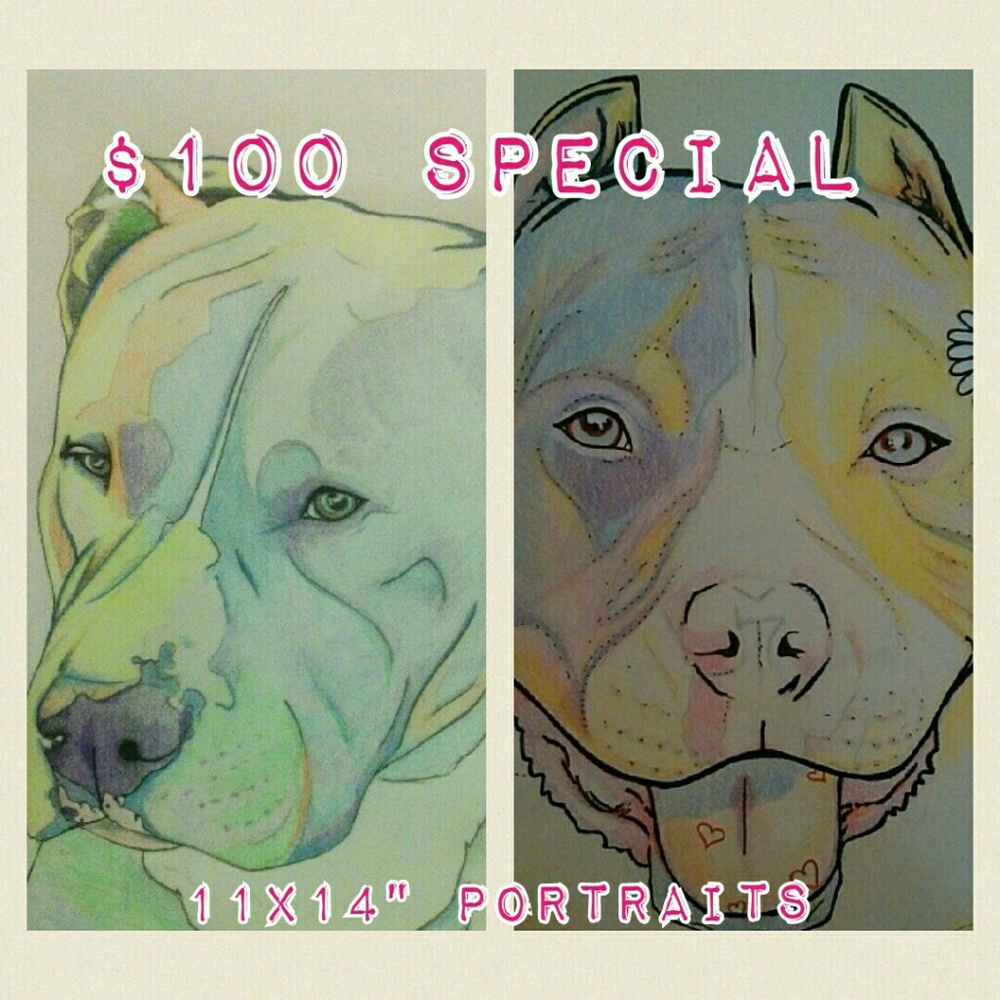 Handmade custom pet portrait (trades only)