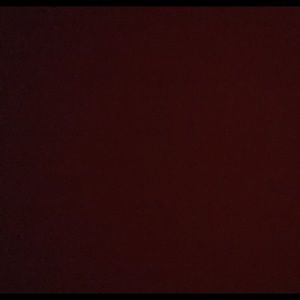 Meet your Posher, Rhiannon