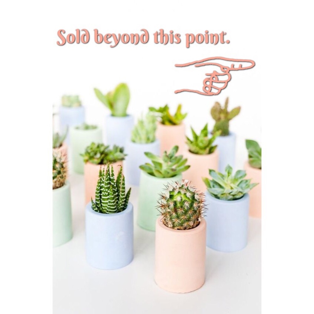 🌞 thank you for all your purchases 🌞