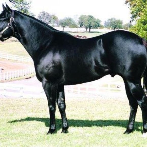 Meet your Posher, Mariano - Picture 1 of 1