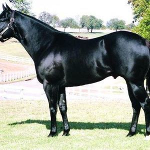 Meet your Posher, Mariano