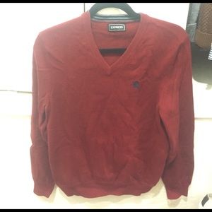 Express V Neck Sweater