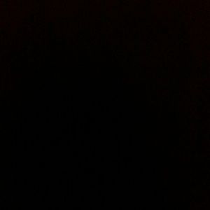 Meet your Posher, Elsie