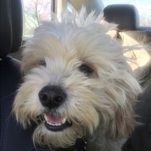 Meet your Posher, Anne