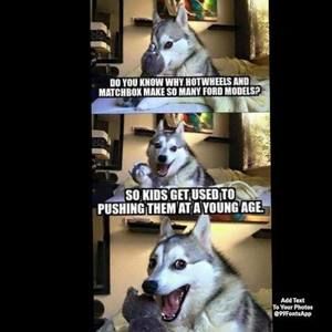 Meet your Posher, Austin