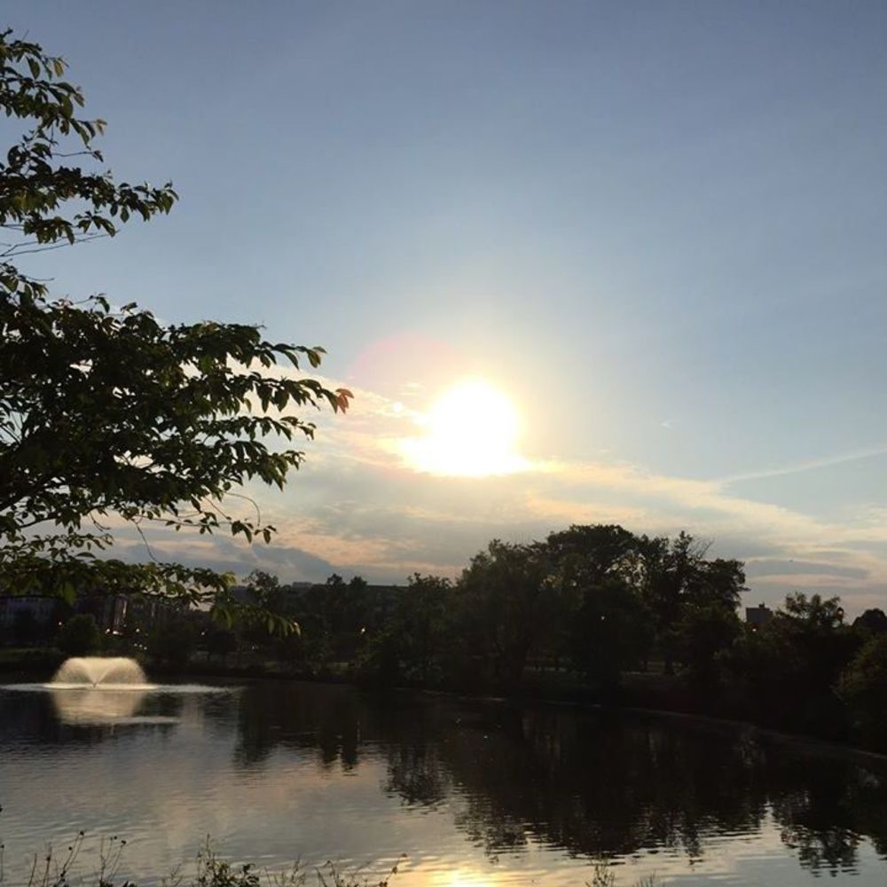 Meet your Posher, Kashira