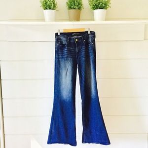 (Express Jeans) Wide Leg Flare Jeans