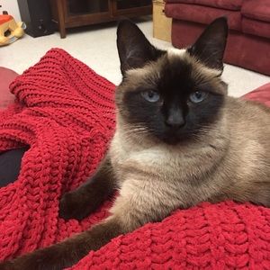 Meet your Posher, Colleen