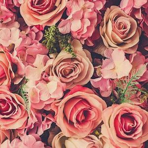 Meet your Posher, Allison