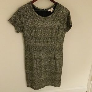 Collective concepts gold and black dress