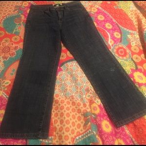 Lane Bryant Jeans