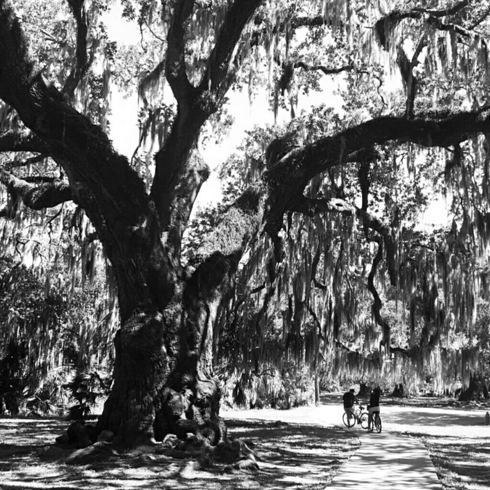 Meet your Posher, So