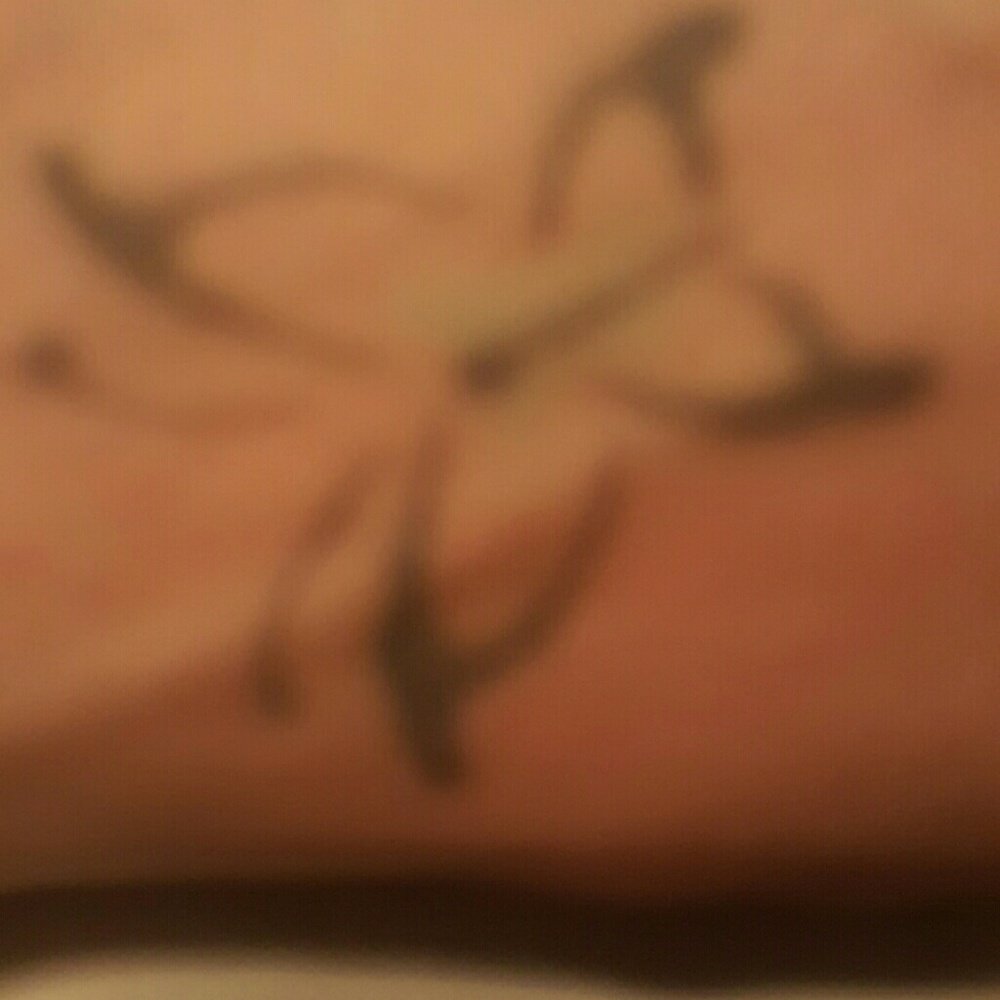 Meet your Posher, Jossie