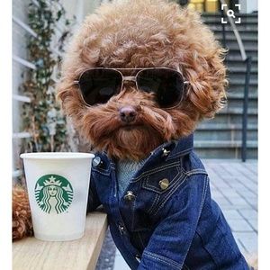 Meet your Posher, Cathy