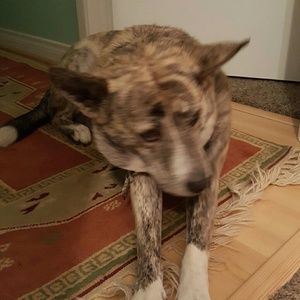 Meet your Posher, Christa