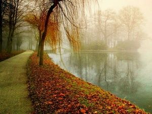 Meet your Posher, Alia