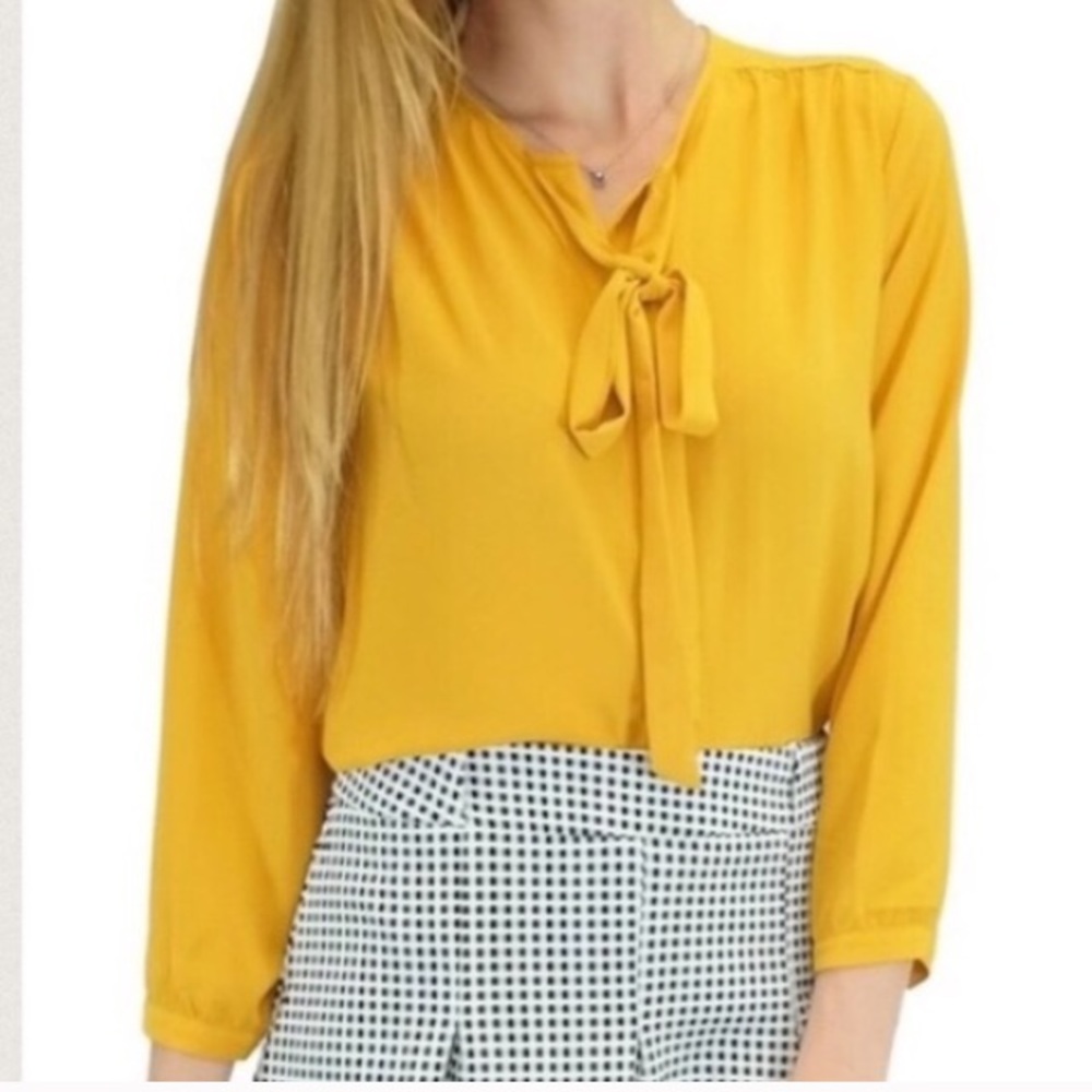Button down blouse