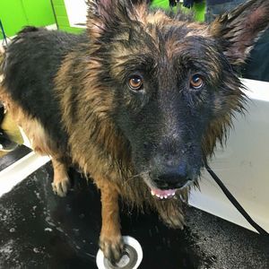 Meet your Posher, Sabrina