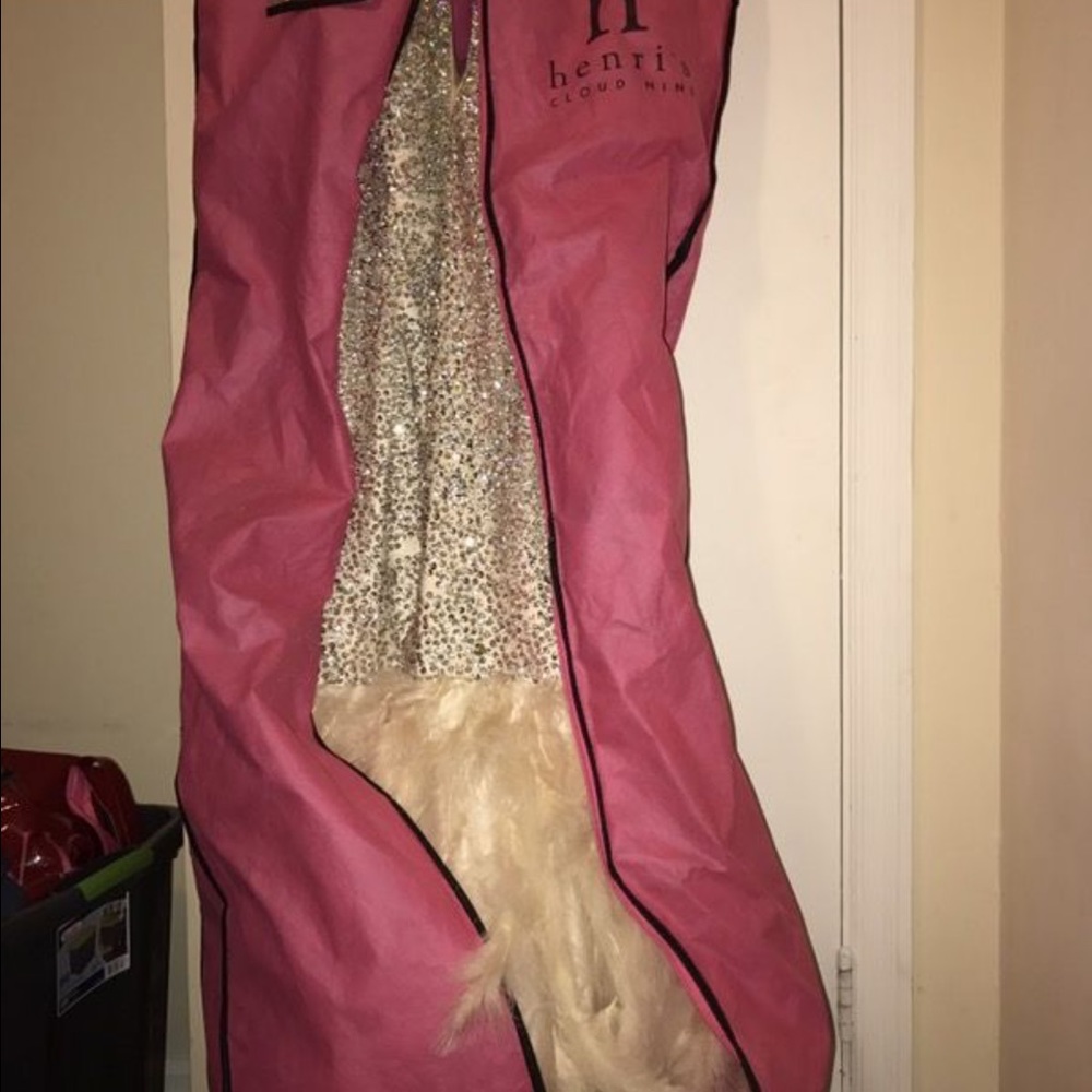 Prom Dress - Picture 4 of 4