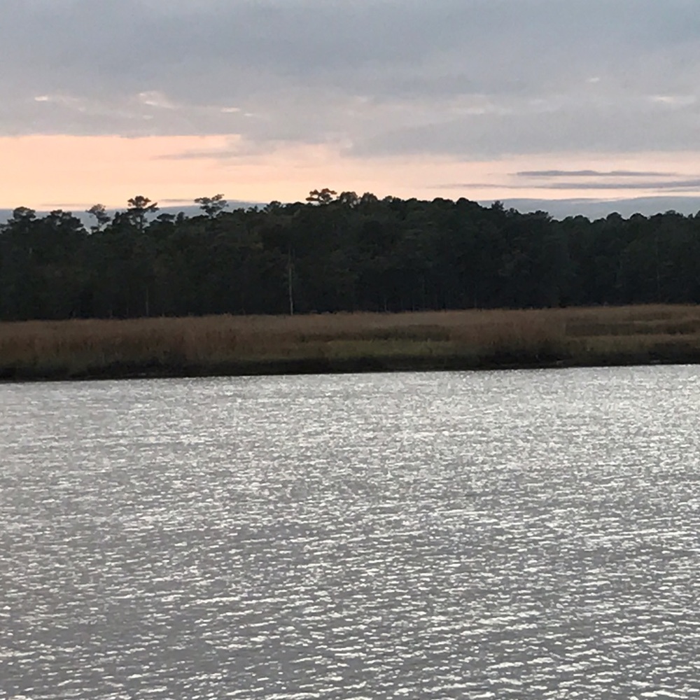 Meet your Posher, Lydia