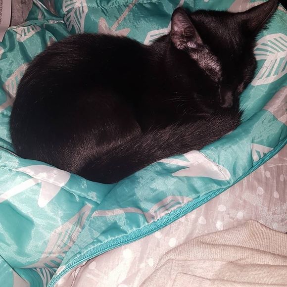 Meet your Posher, Elizabeth kristine - Picture 1 of 1