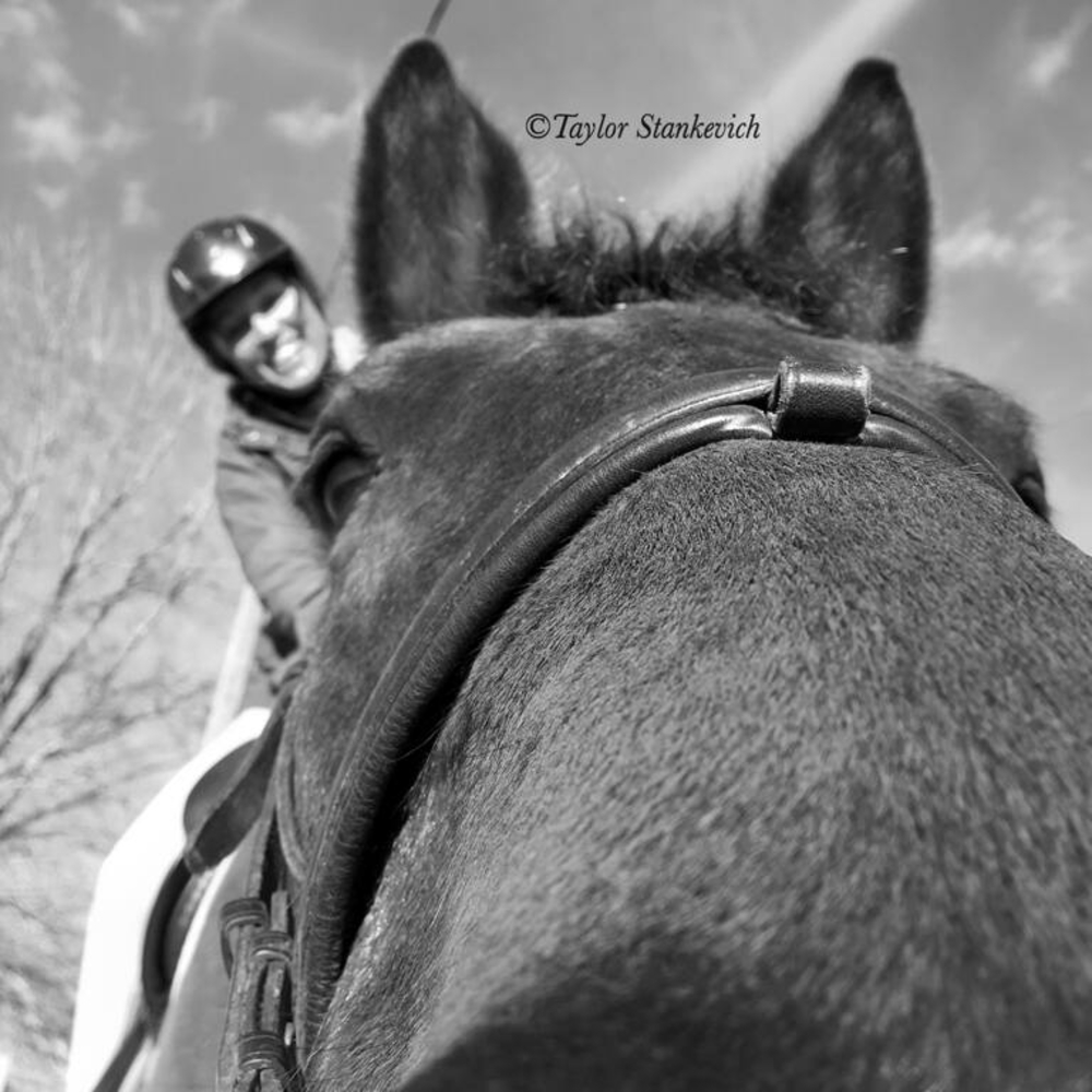 Meet your Posher, Fiquet