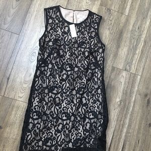 Ann Taylor loft dress