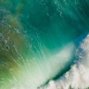 Meet your Posher, Ayo