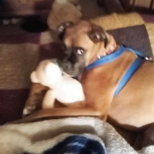 Meet your Posher, Shirley